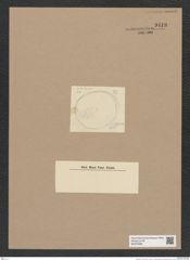 Podosira sp. (de-Toni-Nr.: Genus 217) Zeichnungen Sammlung Grunow Nr. 9419 (NHMW-BOT-W0379266)